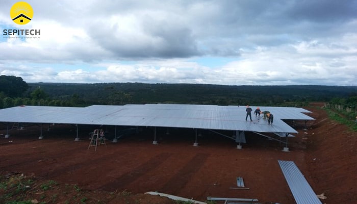 Thi công Trang trại nông nghiệp kết hợp lắp hệ thống điện năng lượng mặt trời 3MW, Xã Cư Né, huyện Krông Búk, tỉnh Đắk Lắk 7